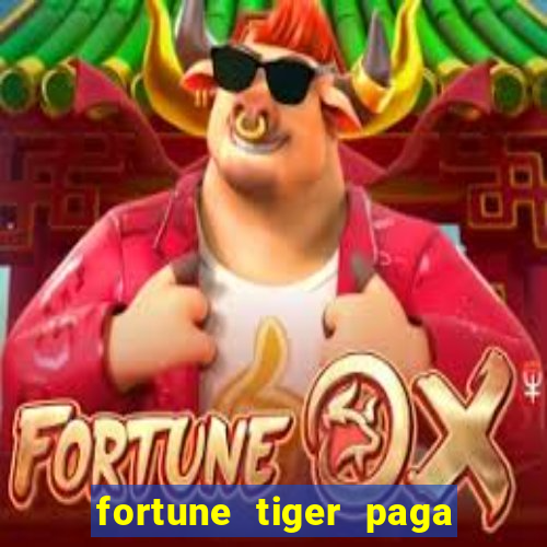 fortune tiger paga de madrugada